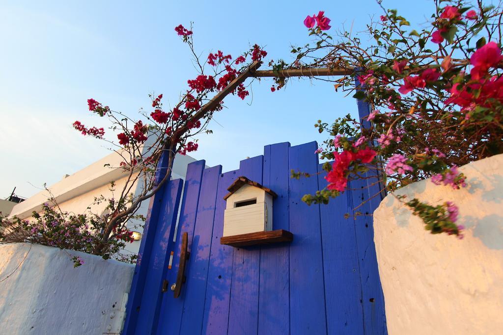 بيتش هاوس كنتيج المظهر الخارجي الصورة